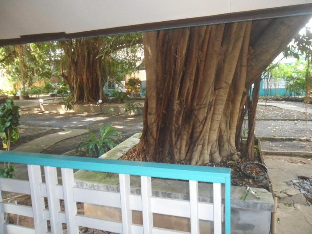 Blu' Beach Bungalows Plage de Lamai Extérieur photo
