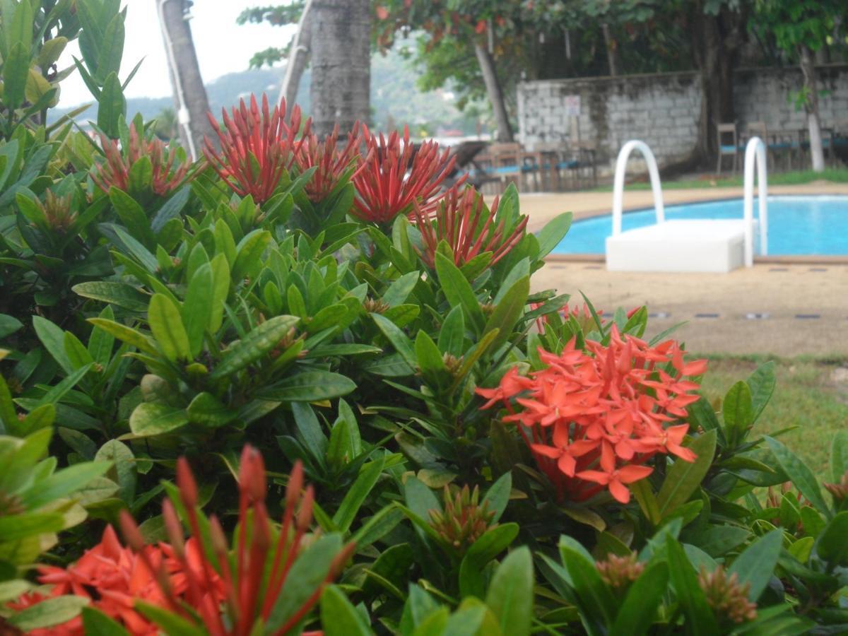 Blu' Beach Bungalows Plage de Lamai Extérieur photo